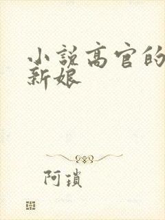 小说高官的暗夜新娘