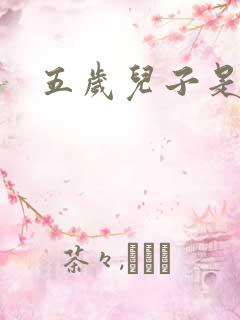 五岁儿子是相公