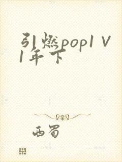 引燃pop1∨1年下