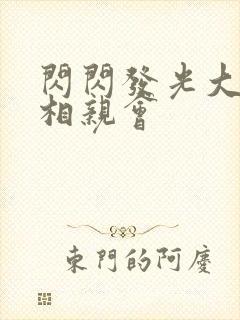 闪闪发光大团圆相亲会