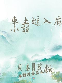 车上进入麻麻的小说