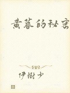 黄蓉的秘密