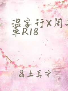 温客行X周子舒车R18