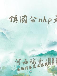 镇国公nhp文