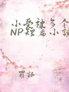 小受被多个攻强NP短篇小说