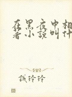 在黑夜中相拥原著小说叫什么