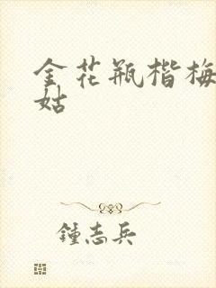 金花瓶楷梅花尼姑