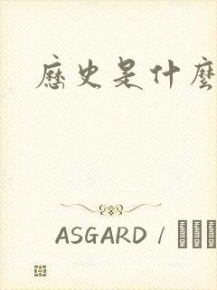 历史是什么玩意