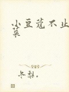 小豆蔻不止是颗菜