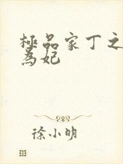 极品家丁之册母为妃