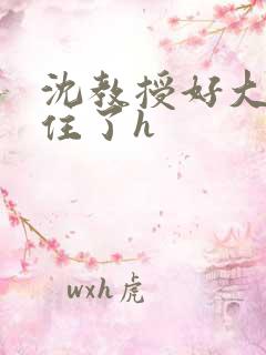 沈教授好大含不住了h