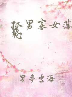 孤男寡女落瑛纷飞