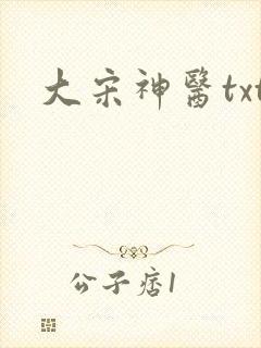 大宋神医txt