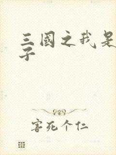 三国之我是皇太子