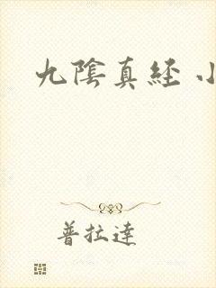 九阴真经 小说