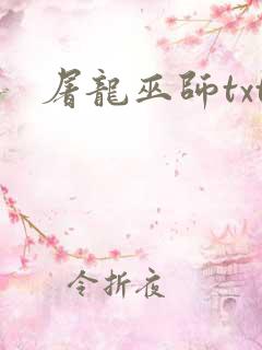 屠龙巫师txt