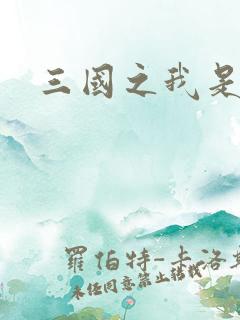 三国之我是华雄