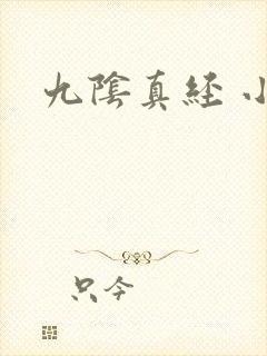 九阴真经 小说