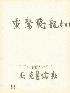 灵鹫飞龙txt