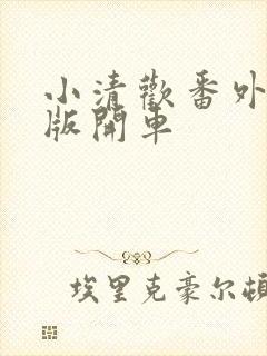 小清欢番外完整版开车