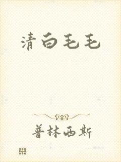 清白毛毛
