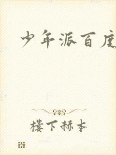 少年派百度百科