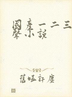 国产一二三区有声小说