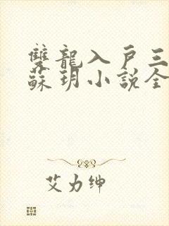 双龙入户三人行苏玥小说全文阅读