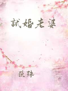 试婚老婆