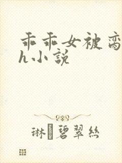 乖乖女被脔日常h小说