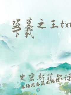 盗墓之王txt下载