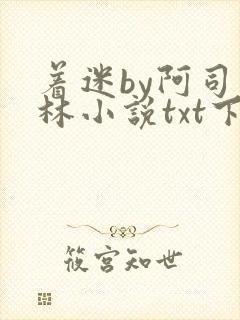 着迷by阿司匹林小说txt下载