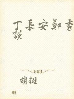 丁长安郑秀兰小说