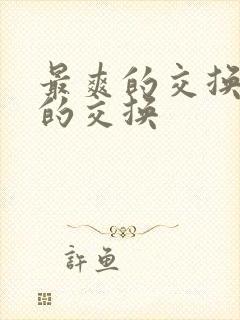 最爽的交换疯狂的交换