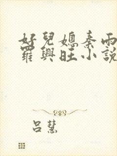 好儿媳秦雨罗明罗兴旺小说