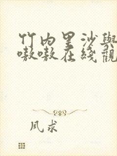 竹内里沙与黑人嗷嗷在线观看