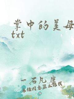 掌中的美母版主txt