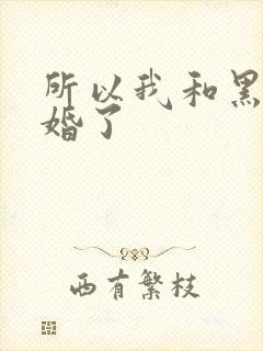 所以我和黑粉结婚了