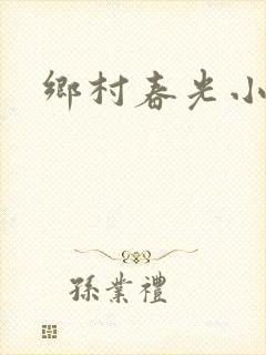 乡村春光小说