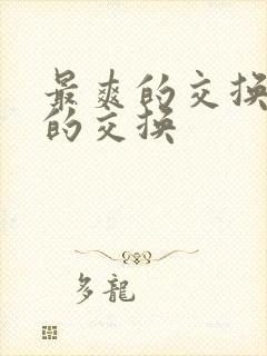 最爽的交换疯狂的交换