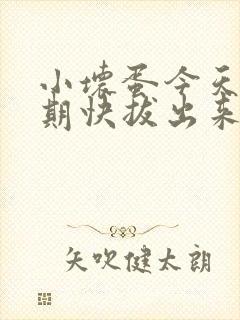 小坏蛋今天危险期快拔出来