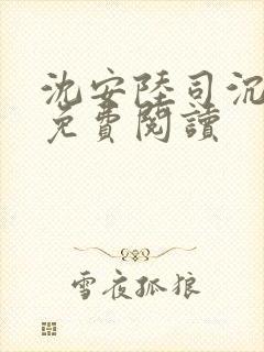 沈安陆司沉小说免费阅读