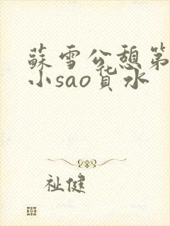 苏雪公憩第一章小sao货水