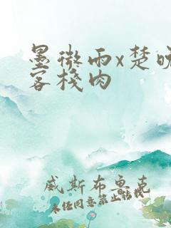 墨微雨x楚晚宁客栈肉