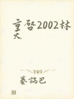 重启2002林天