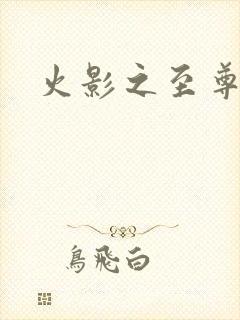 火影之至尊邪帝