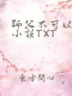 师父不可以灵犀小说TXT