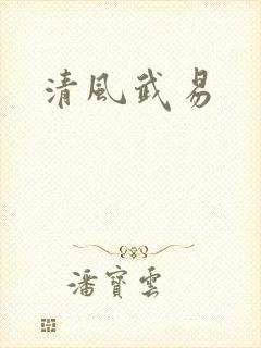 清风武易