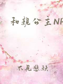 和亲公主NPC