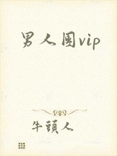 男人团vip